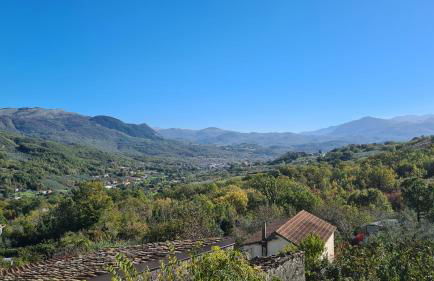 La collina degli ulivi - Foto 1