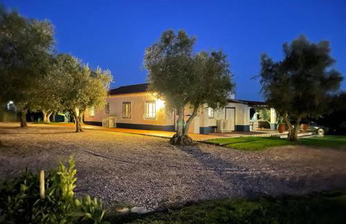 Casa das Oliveiras - Foto 47