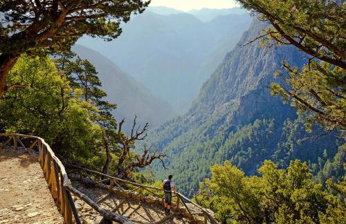 Elaida Home - Photo 30