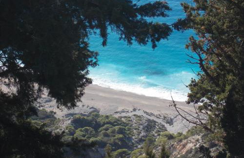 Ble on Blue - Photo 77