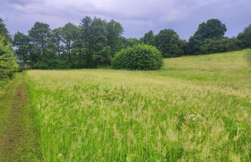 Domki Zaczarowana Łąka Borach Tucholskich - Foto 48