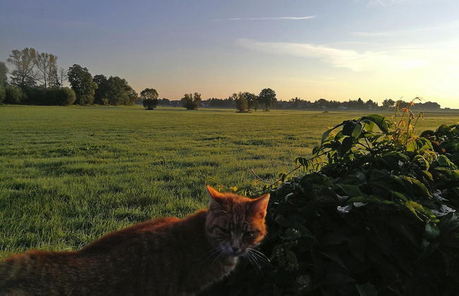 Apartment With Sauna and Fireplace in Bautzen - Foto 8