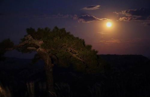 Mesoncillo NEO - Foto 51