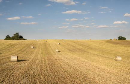 SEEZIEGE Uckermark - Ferienwohnungen am Carwitzer See - Foto 27
