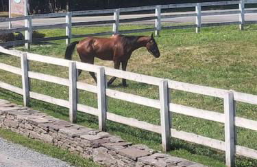 Bethel Woods Cabin - Foto 29
