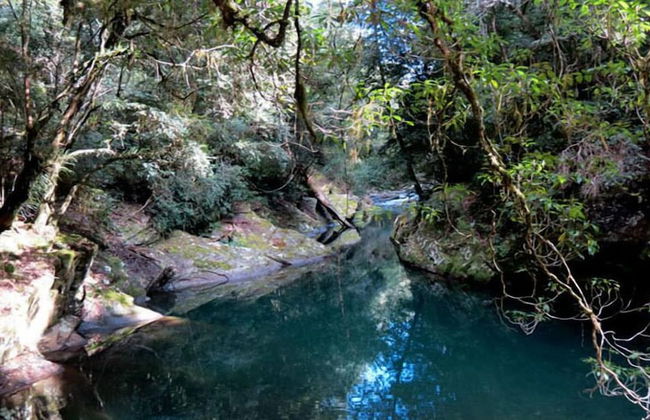 Barrington Wilderness Cedar Lodge Accommodation - Foto 14