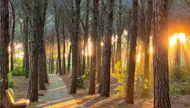 Casa Vacanze "Pizzo Sorriso Del Mare" - Foto 2