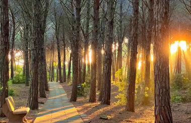 Casa Vacanze "Pizzo Sorriso Del Mare" - Foto 2