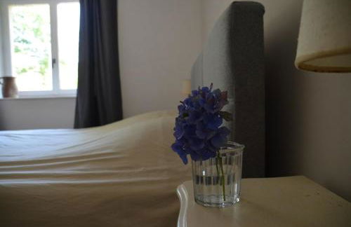 Chateau de Salorges - Farmgite - Foto 6