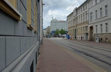 Dachgeflüster - Foto 30