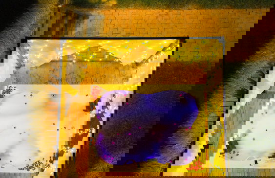 Sare Suit Bungalow - Foto 1