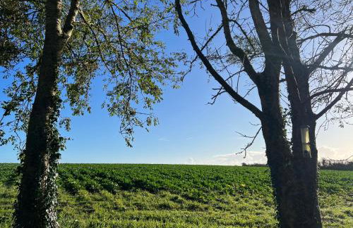 Bay Tree Barn - Photo 55