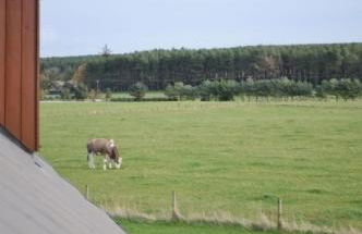 Ard Garraidh - Photo 33