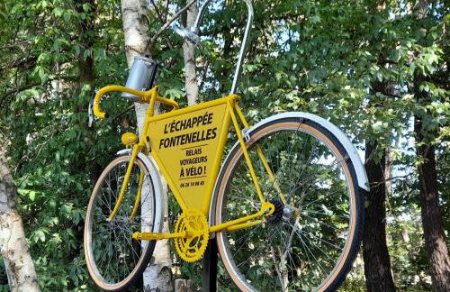 Chalet nature et détente avec piscine, proche zoo de la Flèche et Le Mans, idéal cyclistes et familles - FR-1-410-367 - Photo 3