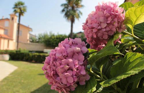 Agriturismo Villa Panigai - Foto 22