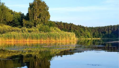 Doppelhaushälfte Altglobsow - Foto 3