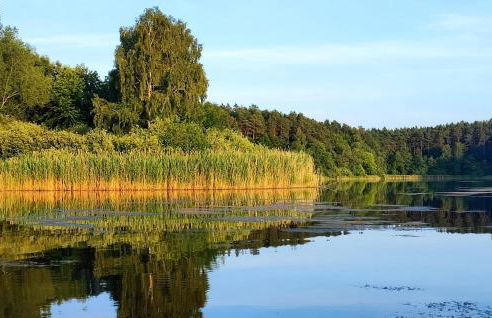Doppelhaushälfte Altglobsow - Foto 3