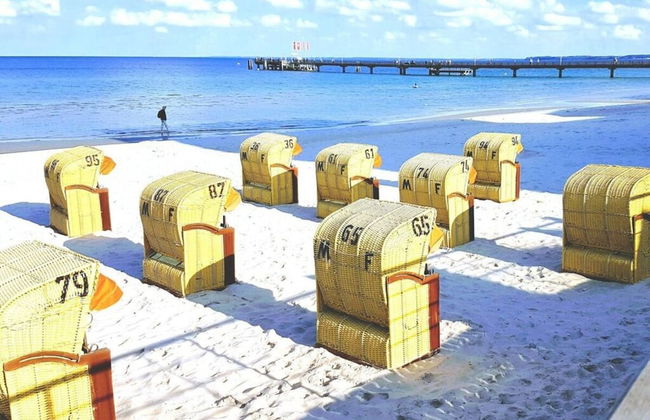 Herring Gull - Foto 20