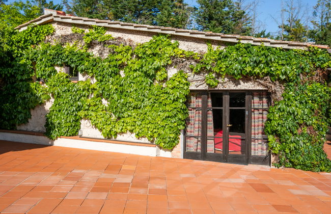 Bardeggiano - Caterina 4 (COL247) - Photo 45