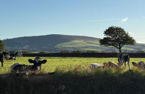 3 Bedroom Pembrokeshire Cottage - Beaches, Coastal path walks, Castles nearby - Foto 36