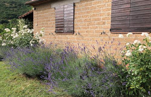 Monolocale La Mimosa - Foto 27