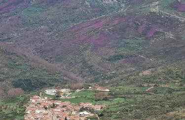 Apartamento Cholo - Foto 18