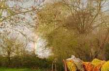 La Bourgandie - Foto 28