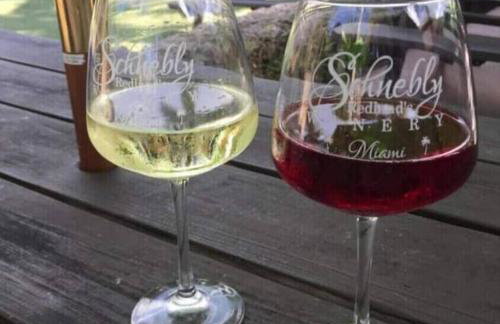 Insta Worthy Modern Bungalow - Foto 29