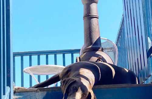 Beautiful dog friendly lodge with hot tub - Foto 18