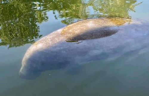 Island Retreat: Your Exclusive Oasis Awaits - Foto 43