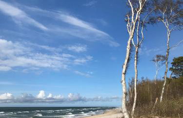 Domki Podniebo - Foto 70