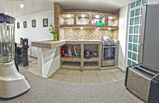 HominngBird - Foto 44