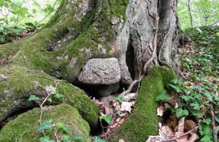 Ferienwohnung Wroblewsky - Foto 25