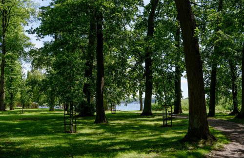 Park Vista - Foto 25