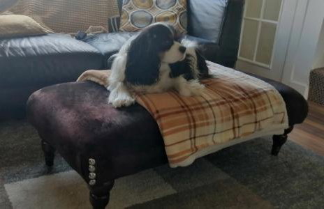 Castle Hill Cottage & Paddlers Retreat - Foto 39