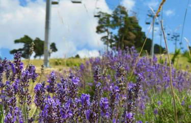 Modern Studio With Mountain Views In Andon - Foto 22