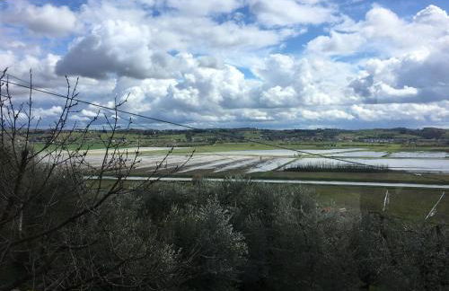 Locazione turistica Casa olivo - Foto 21