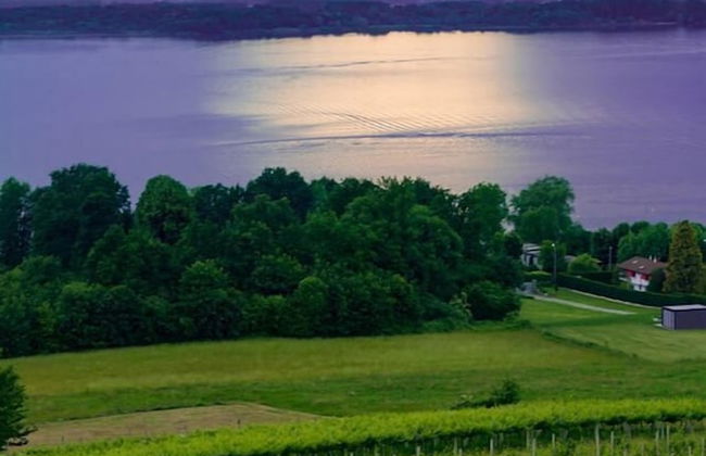 Agriturismo Tra Serra e Lago - Foto 34