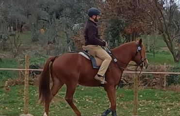 Casa do Tio João - Foto 52