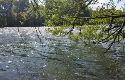 Lütt Verbliev - Foto 25