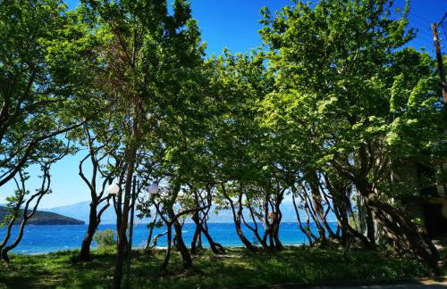 Blumenhaus (Spiti Louloudia) - Foto 46