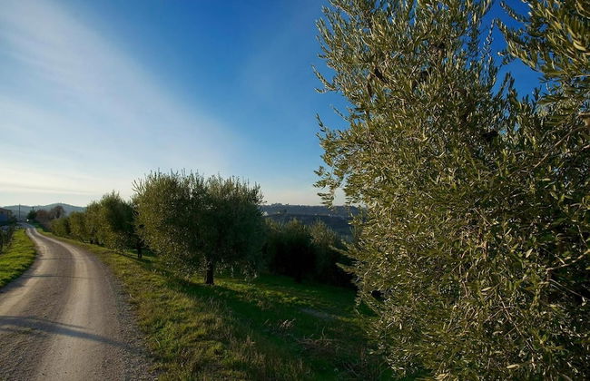 Agriturismo Serena - Photo 30