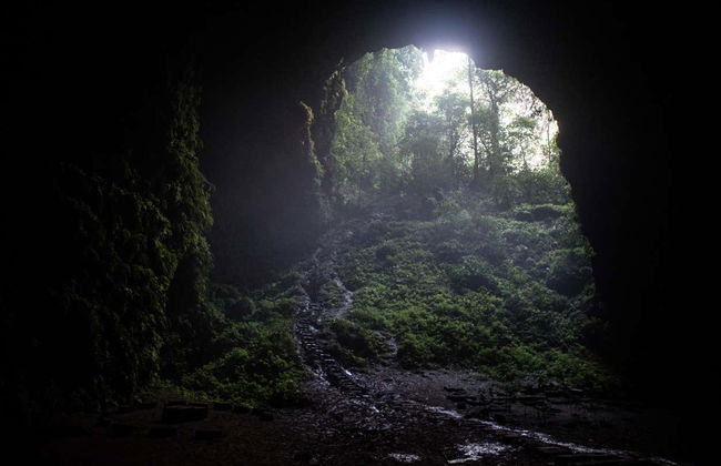 Caving in Jomblang Cave - Foto 2