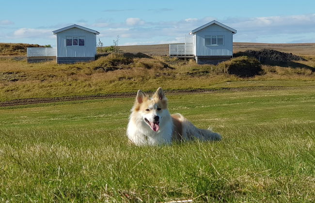 Beindalsholt - Foto 15