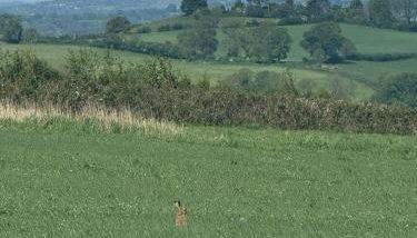 2 Guests Studio - Free Parking - Stunning Views - Foto 2