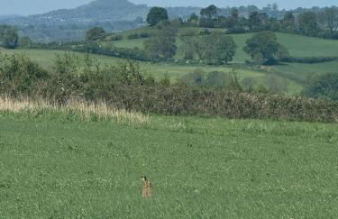 2 Guests Studio - Free Parking - Stunning Views - Foto 2