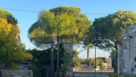 Masseria Montanari - Foto 5, Garden, Garden view