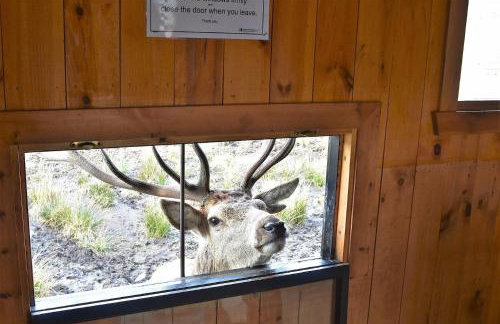 The Toll House - Photo 45