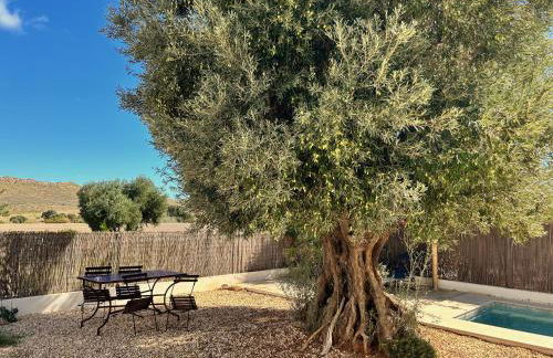 Villa Filon - Foto 21