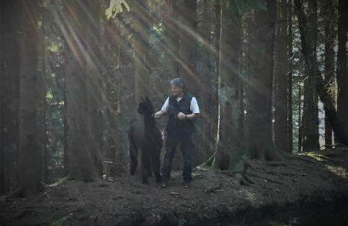 Alpaca-Village - Foto 26